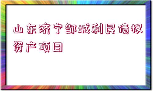 山東濟(jì)寧鄒城利民債權(quán)資產(chǎn)項(xiàng)目