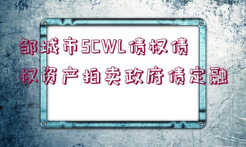 鄒城市SCWL債權債權資產拍賣政府債定融