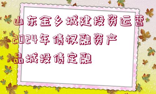 山東金鄉(xiāng)城建投資運營2024年債權融資產品城投債定融