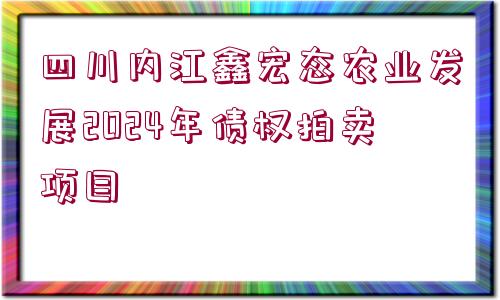 四川內(nèi)江鑫宏態(tài)農(nóng)業(yè)發(fā)展2024年債權(quán)拍賣項(xiàng)目