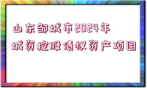 山東鄒城市2024年城資控股債權(quán)資產(chǎn)項(xiàng)目