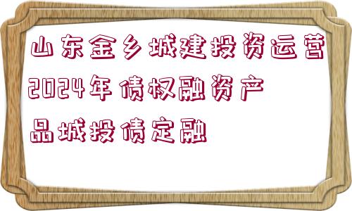 山東金鄉(xiāng)城建投資運(yùn)營(yíng)2024年債權(quán)融資產(chǎn)品城投債定融