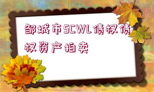 鄒城市SCWL債權(quán)債權(quán)資產(chǎn)拍賣(mài)