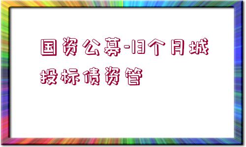 國資公募-13個(gè)月城投標(biāo)債資管