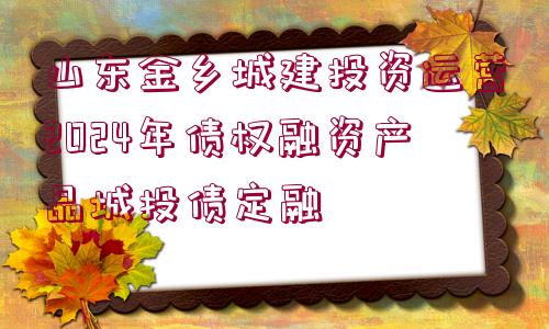 山東金鄉(xiāng)城建投資運(yùn)營(yíng)2024年債權(quán)融資產(chǎn)品城投債定融