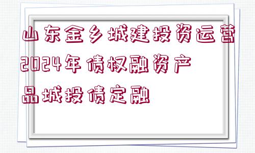 山東金鄉(xiāng)城建投資運(yùn)營(yíng)2024年債權(quán)融資產(chǎn)品城投債定融