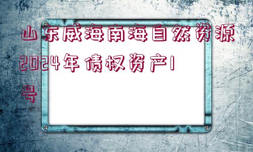 山東威海南海自然資源2024年債權(quán)資產(chǎn)1號