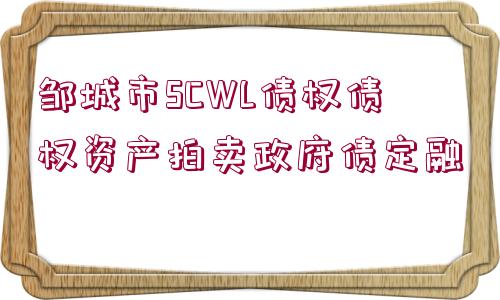 鄒城市SCWL債權(quán)債權(quán)資產(chǎn)拍賣政府債定融