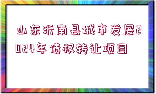 山東沂南縣城市發(fā)展2024年債權轉(zhuǎn)讓項目