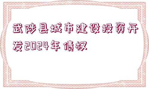 武陟縣城市建設(shè)投資開發(fā)2024年債權(quán)