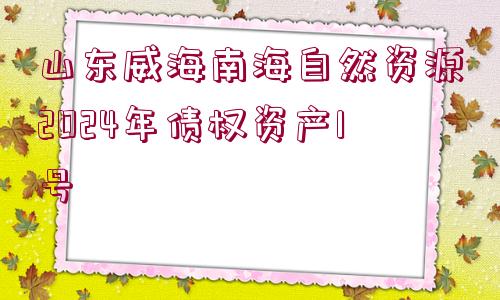 山東威海南海自然資源2024年債權(quán)資產(chǎn)1號(hào)