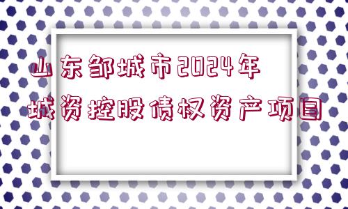 山東鄒城市2024年城資控股債權(quán)資產(chǎn)項(xiàng)目