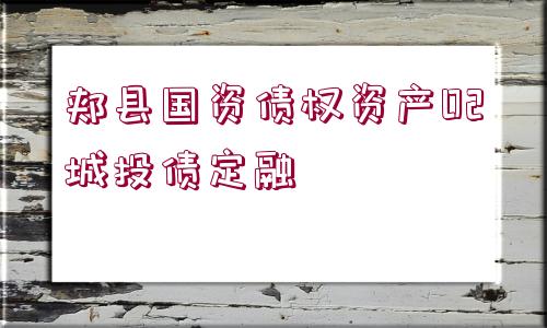 郟縣國資債權(quán)資產(chǎn)02城投債定融