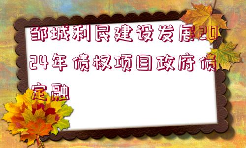 鄒城利民建設(shè)發(fā)展2024年債權(quán)項目政府債定融