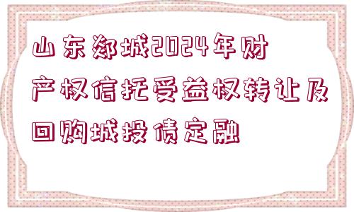 山東郯城2024年財(cái)產(chǎn)權(quán)信托受益權(quán)轉(zhuǎn)讓及回購城投債定融