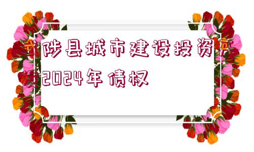 武陟縣城市建設(shè)投資開(kāi)發(fā)2024年債權(quán)