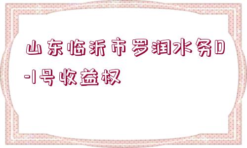 山東臨沂市羅潤水務(wù)D-1號(hào)收益權(quán)