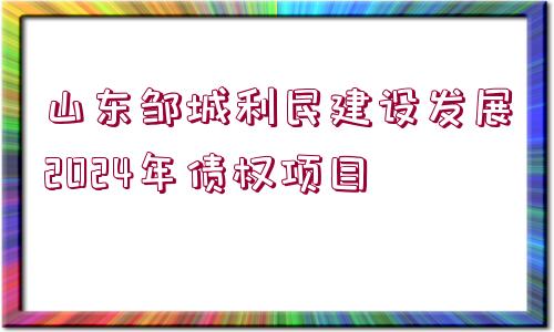 山東鄒城利民建設(shè)發(fā)展2024年債權(quán)項目