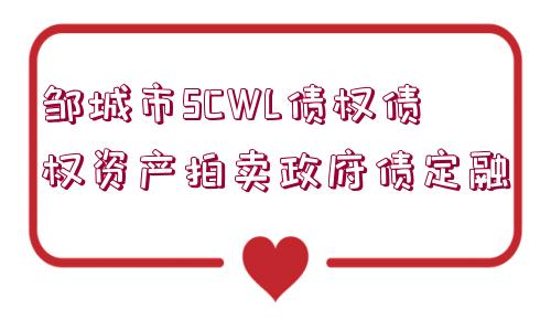 鄒城市SCWL債權(quán)債權(quán)資產(chǎn)拍賣政府債定融