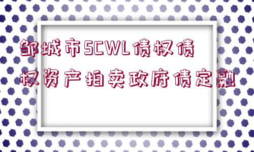 鄒城市SCWL債權(quán)債權(quán)資產(chǎn)拍賣政府債定融