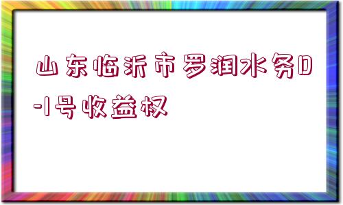 山東臨沂市羅潤水務(wù)D-1號(hào)收益權(quán)