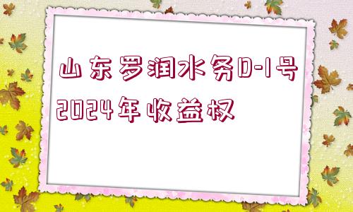 山東羅潤水務(wù)D-1號2024年收益權(quán)