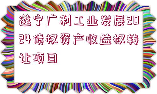 遂寧廣利工業(yè)發(fā)展2024債權(quán)資產(chǎn)收益權(quán)轉(zhuǎn)讓項(xiàng)目