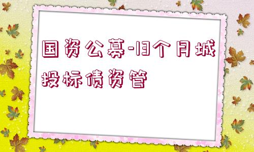 國(guó)資公募-13個(gè)月城投標(biāo)債資管