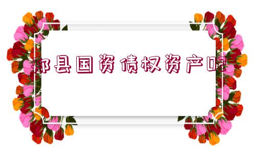 郟縣國(guó)資債權(quán)資產(chǎn)02