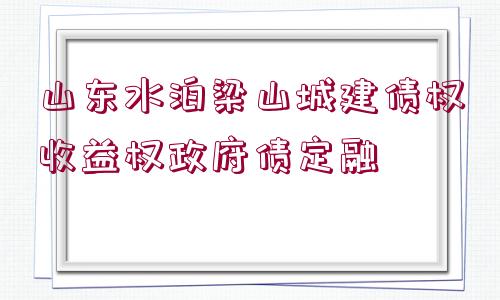 山東水泊梁山城建債權收益權政府債定融