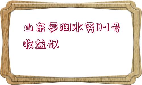 山東羅潤(rùn)水務(wù)D-1號(hào)收益權(quán)