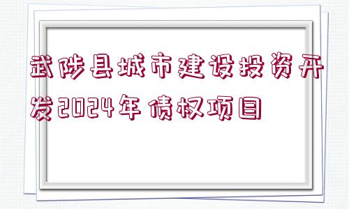 武陟縣城市建設投資開發(fā)2024年債權(quán)項目