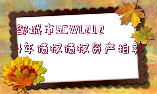 鄒城市SCWL2024年債權債權資產拍賣