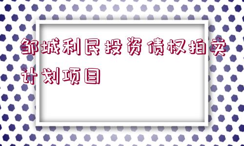 鄒城利民投資債權(quán)拍賣計劃項目