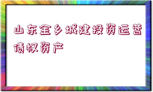 山東金鄉(xiāng)城建投資運營債權(quán)資產(chǎn)