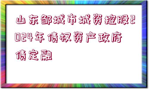 山東鄒城市城資控股2024年債權(quán)資產(chǎn)政府債定融