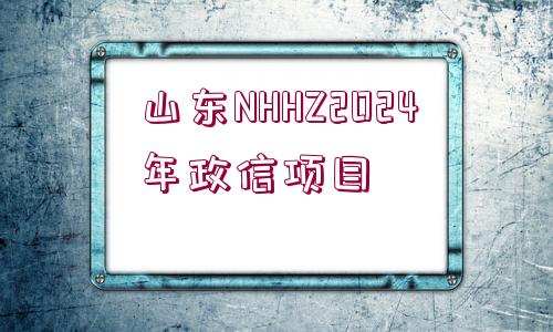 山東NHHZ2024年政信項目