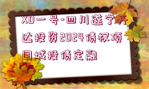 XD一號-四川遂寧開達投資2024債權(quán)項目城投債定融