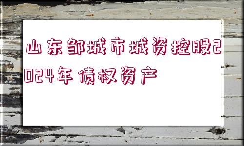 山東鄒城市城資控股2024年債權資產