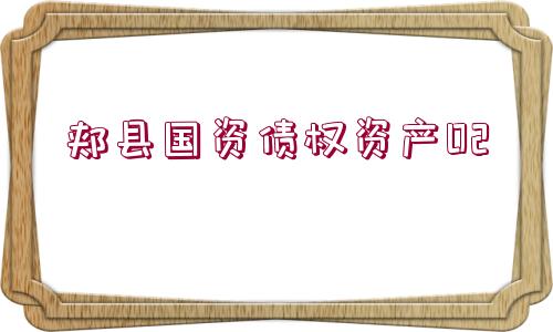 郟縣國(guó)資債權(quán)資產(chǎn)02