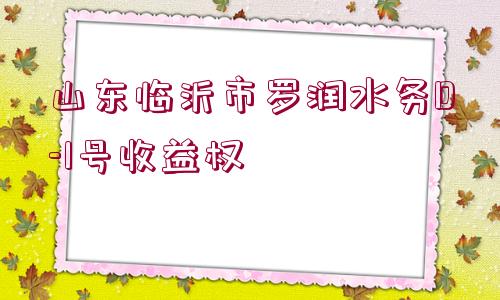 山東臨沂市羅潤水務(wù)D-1號收益權(quán)