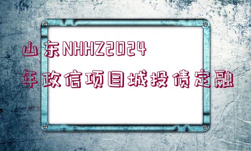 山東NHHZ2024年政信項目城投債定融