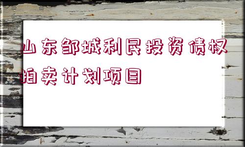 山東鄒城利民投資債權(quán)拍賣計劃項目