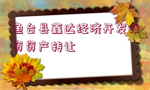 魚臺縣鑫達經(jīng)濟開發(fā)投資資產(chǎn)轉(zhuǎn)讓