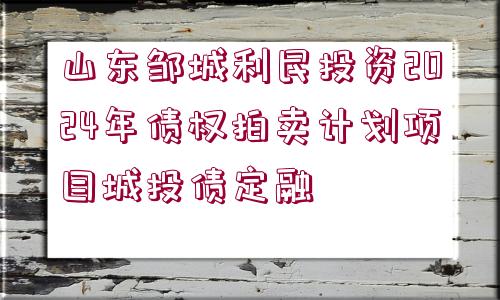 山東鄒城利民投資2024年債權(quán)拍賣計(jì)劃項(xiàng)目城投債定融