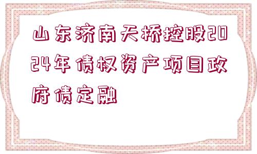 山東濟(jì)南天橋控股2024年債權(quán)資產(chǎn)項(xiàng)目政府債定融