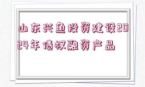 山東興魚(yú)投資建設(shè)2024年債權(quán)融資產(chǎn)品