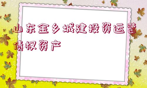 山東金鄉(xiāng)城建投資運營債權(quán)資產(chǎn)