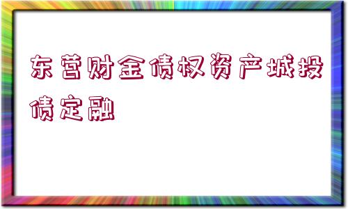 東營財(cái)金債權(quán)資產(chǎn)城投債定融