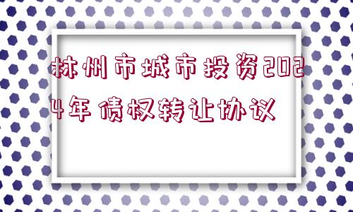 林州市城市投資2024年債權(quán)轉(zhuǎn)讓協(xié)議